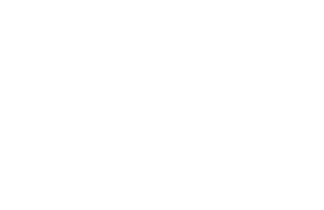 Corporate Profile